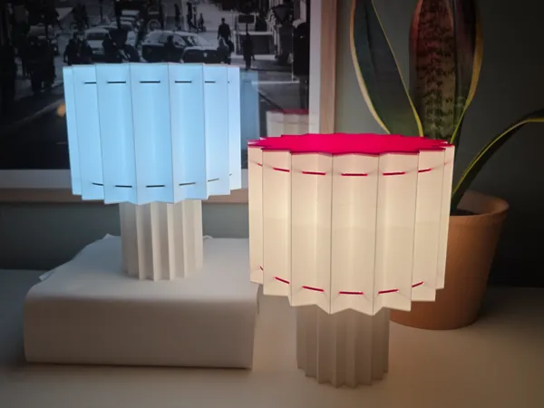 https://makerworld.bblmw.com/makerworld/model/USc2001ec8208d65/design/2025-12-19_799480a572cb5.jpg