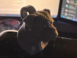 Bulldog on a Keychain