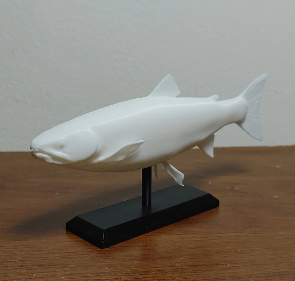 Arctic Char Fish Mount by Fish Prints MakerWorld: Download Free 3D Models