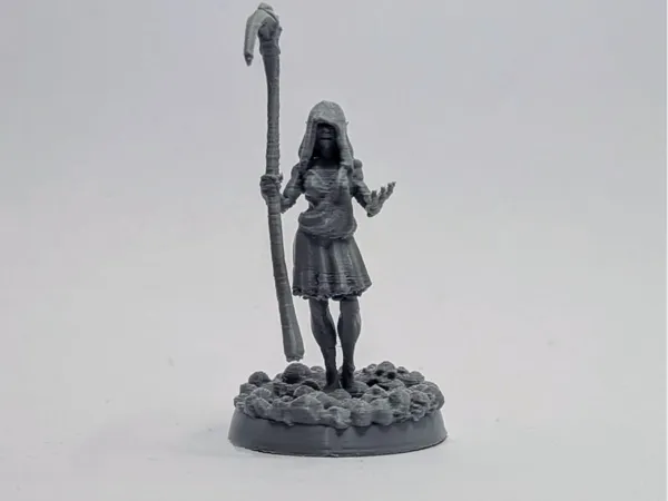 https://makerworld.bblmw.com/makerworld/model/USc214c48f3a6e9e/design/2025-05-18_dcf506ad0c9598.jpeg