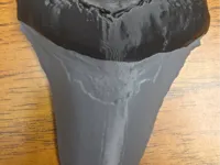 0.12mm layer, 3 walls, 15% infill