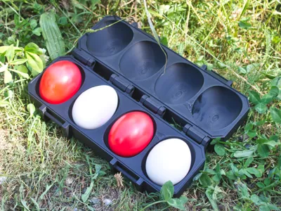 Print-in-Place Large Sturdy Egg Snack Box