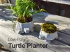 Low-Poly Turtle Planter