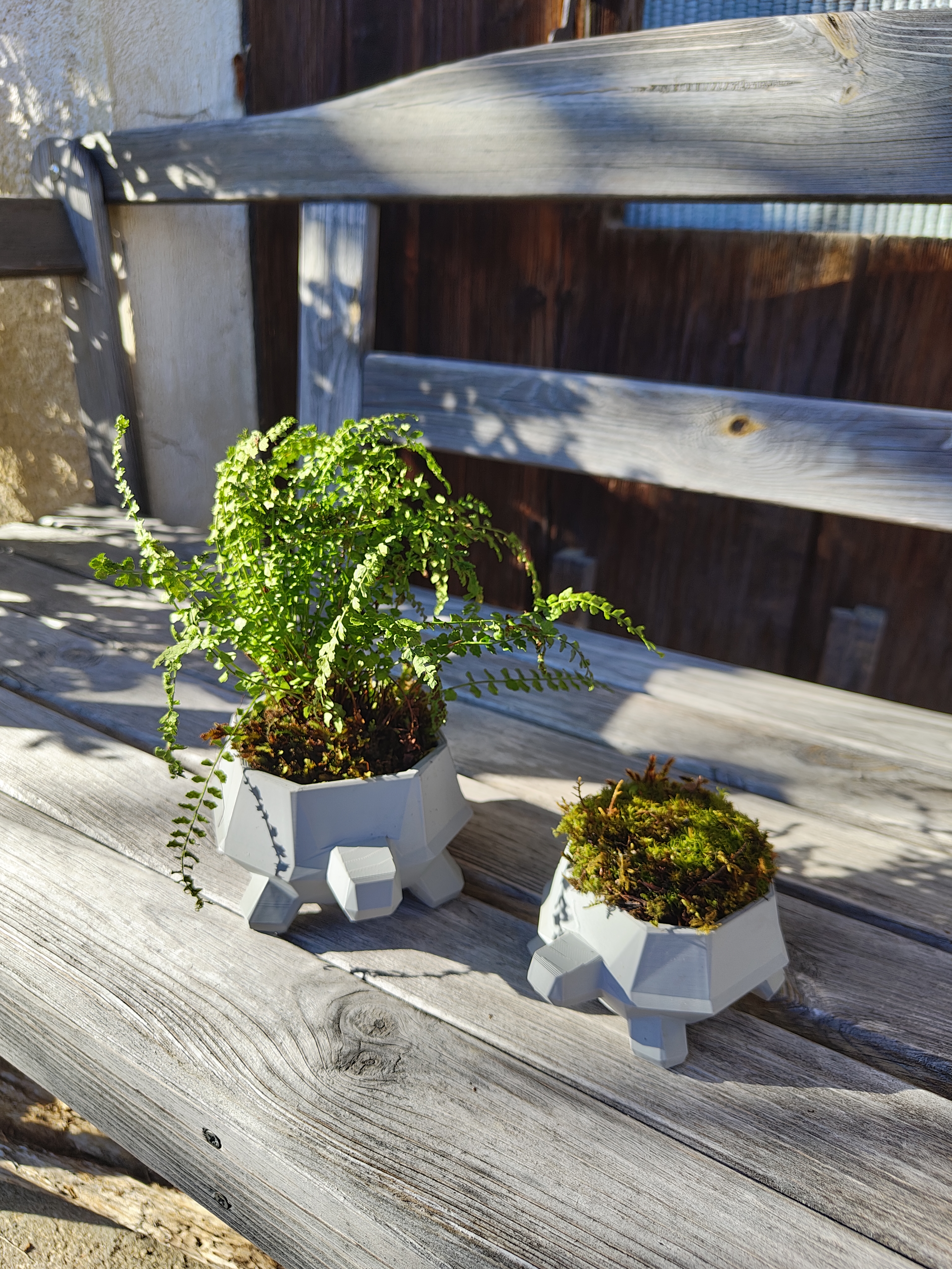 Miniatura 2 do modelo 3D Low-Poly Turtle Planter