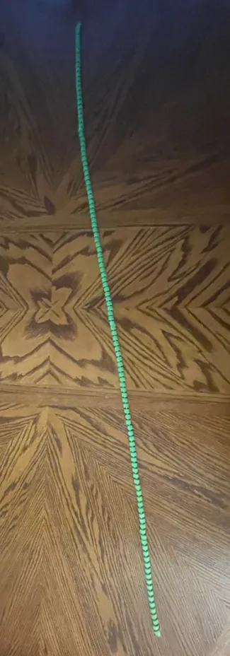Very long articulated snake (5ft)