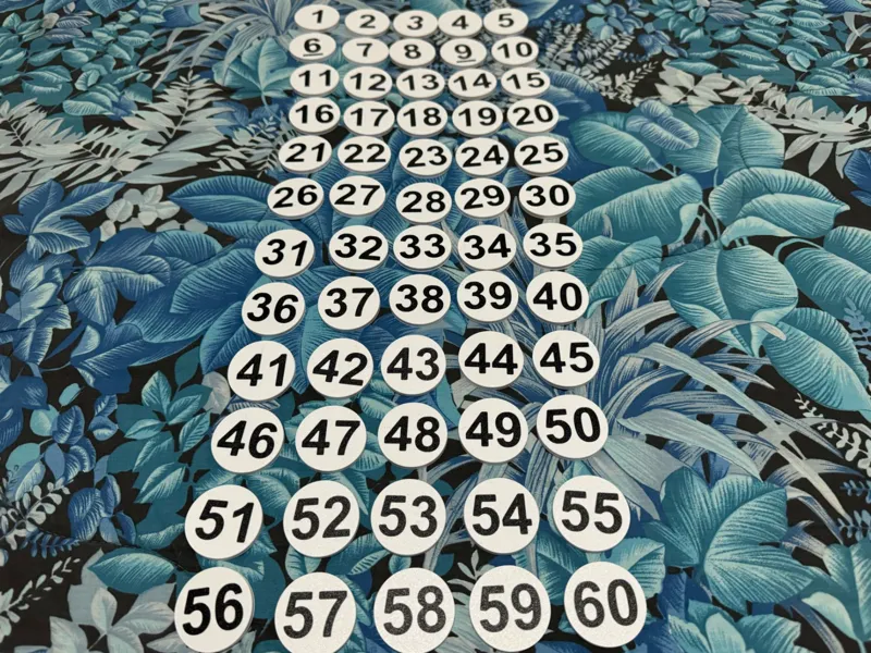 Numeri Progressivi 1 - 30 / 31 - 60