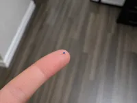 0.2mm nozzle, 0.1mm layer, 4 walls, 15% infill