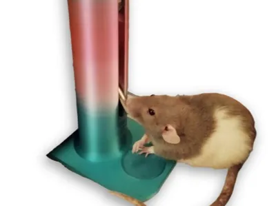 Water Bottle Holder for Rodents – Trixie 125 ml