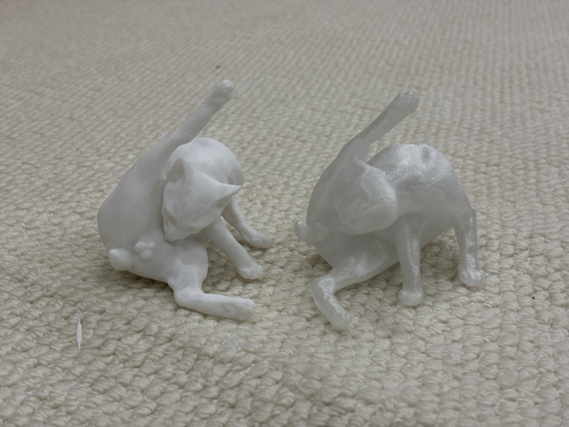 Miniatura 1 do modelo 3D Cat lick ball