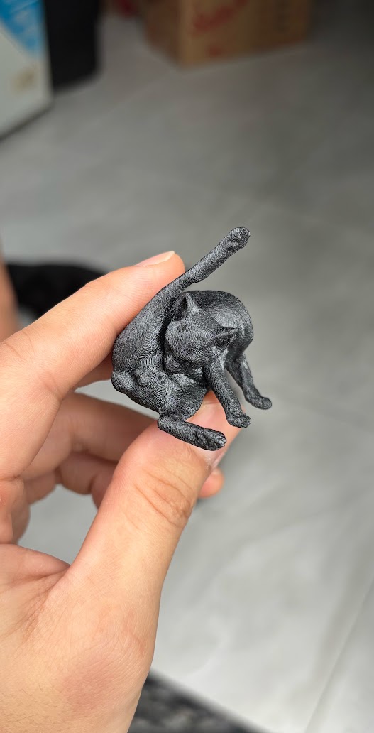 Miniatura 2 do modelo 3D Cat lick ball