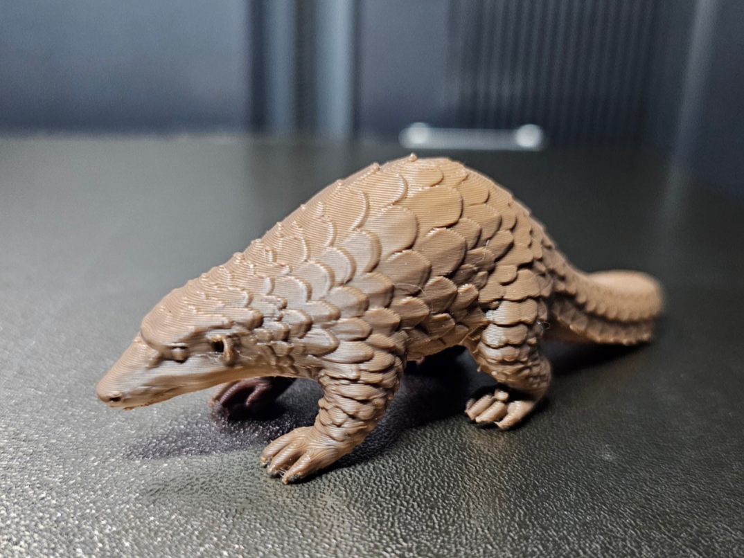 Pangolin Schuppentier - Tiere aus aller Welt