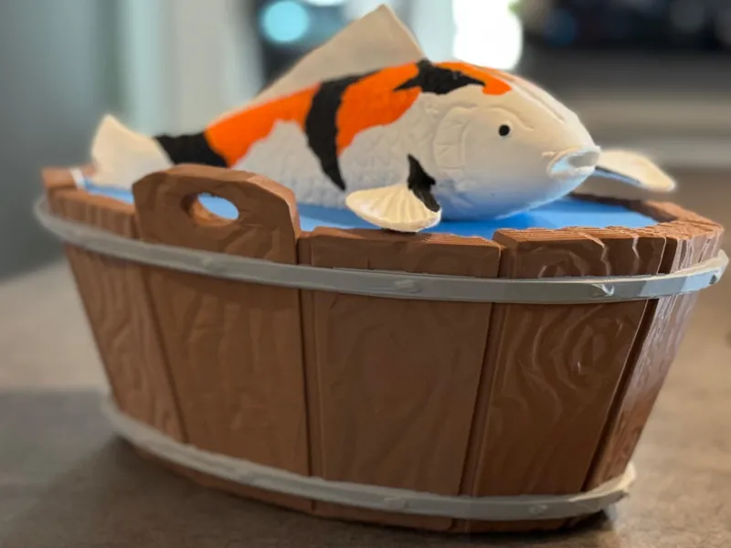 Coin Box Koi Carp