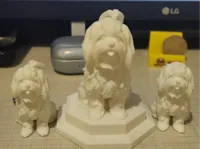 0.12mm layer, 2 walls, 15% infill