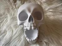 Range-tout tête de mort pour bureau — photo 3