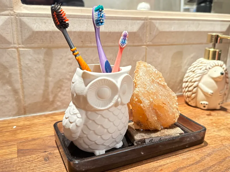 OwlBrush Cup – Cute Owl Toothbrush Holder