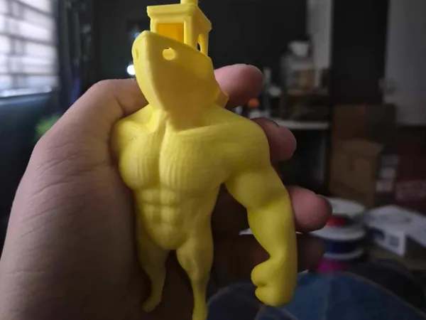 https://makerworld.bblmw.com/makerworld/model/USc237fbb67f654b/design/2025-04-09_c7b5b46aa25b7.jpg