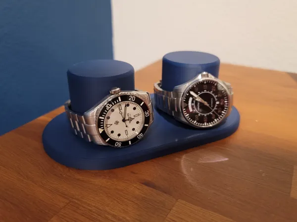 https://makerworld.bblmw.com/makerworld/model/USc23a46a6094205/design/2025-01-07_a8920f5938119.jpg