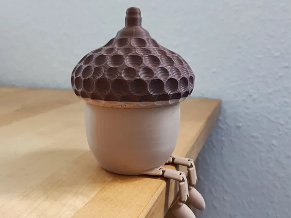 https://makerworld.bblmw.com/makerworld/model/USc23a5161b5ce17/design/2024-11-24_3d154aa347de98.jpg