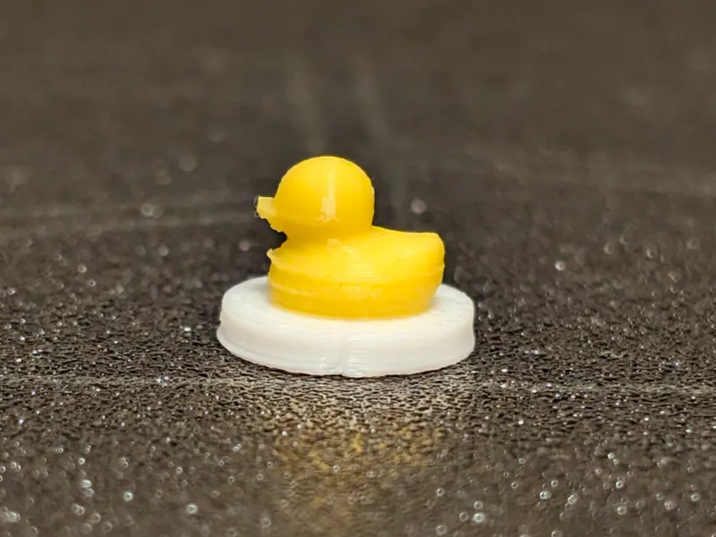 Tiny duck taking a trip on a robot vaccum