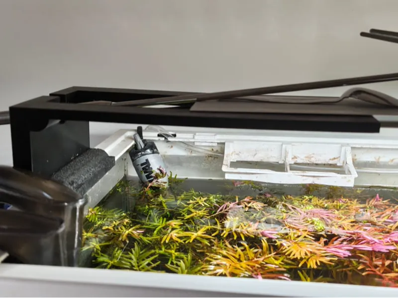 Aquarium Light Stand