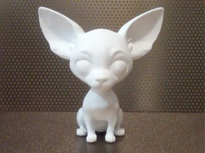 Cute Chihuahua