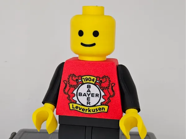 https://makerworld.bblmw.com/makerworld/model/USc2428b5ea2512c/design/2025-05-08_491c965548a4d8.jpg