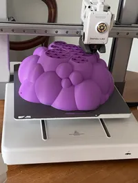 0.12mm layer, 2 walls, 15% infill