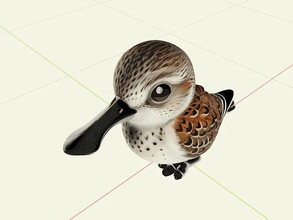 勺嘴鹬 Eurynorhynchus pygmeus