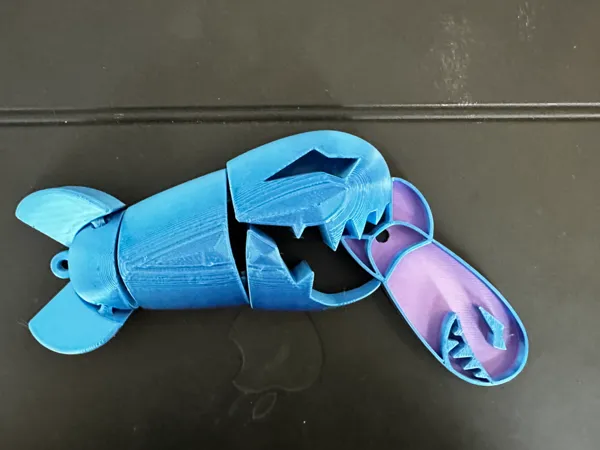 https://makerworld.bblmw.com/makerworld/model/USc248af91910d2b/design/2024-11-16_582b06f62c4c.jpg