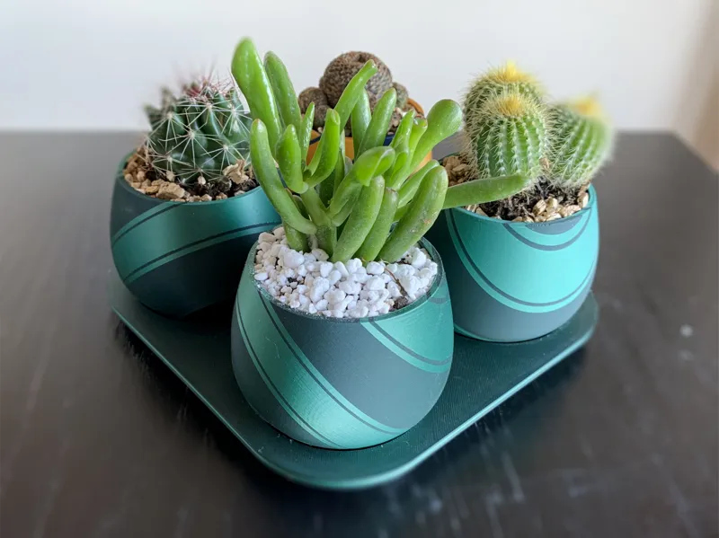 Mini planters with tray