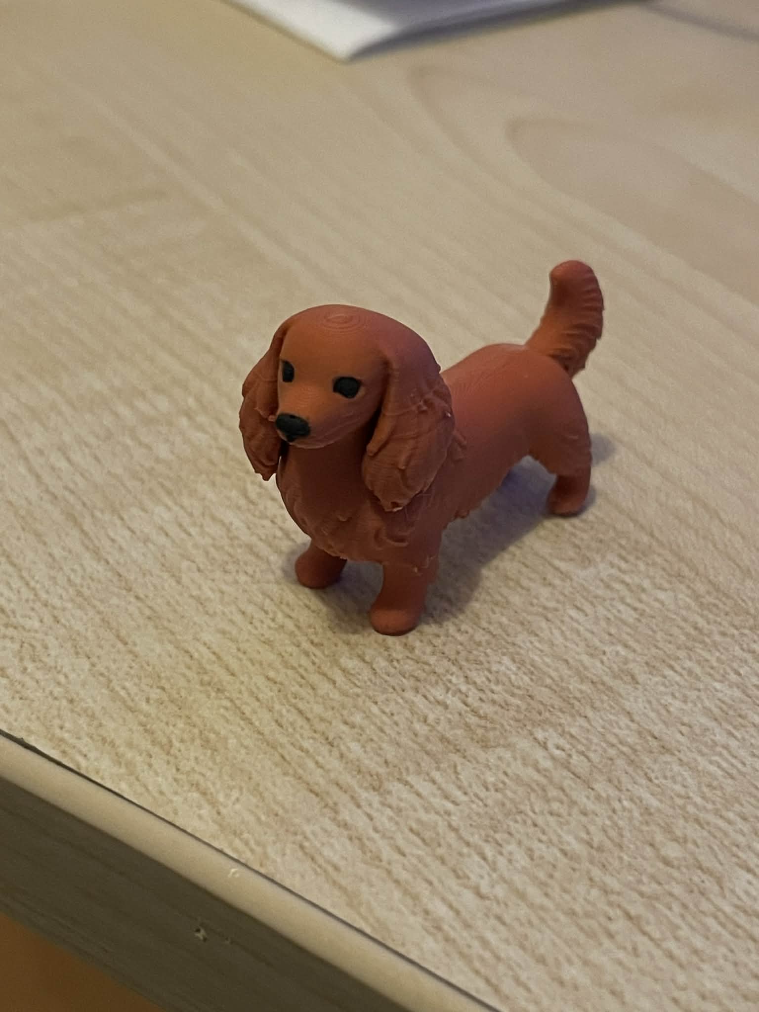 Miniatura 2 do modelo 3D Long haired dachshund