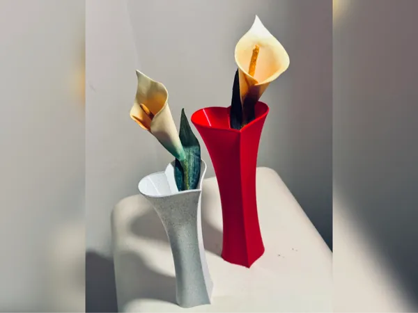 https://makerworld.bblmw.com/makerworld/model/USc24d9a173d10e5/design/2025-01-19_ceb5dc6c093a98.png