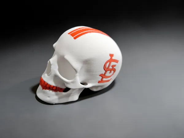 https://makerworld.bblmw.com/makerworld/model/USc24fd45667e2d2/design/7f2d770ccb3a62c5.png