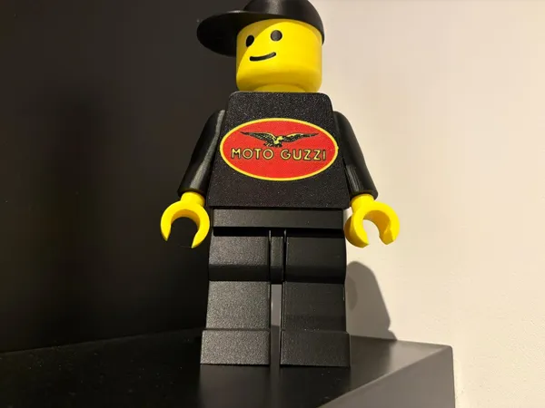 https://makerworld.bblmw.com/makerworld/model/USc25071bdf26924/design/d74ea44d39fca5ec.jpeg