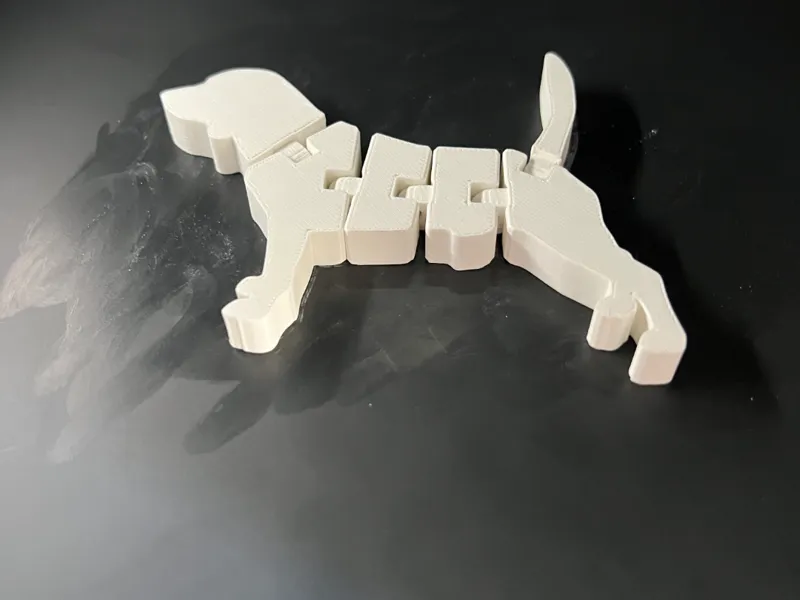 Cute flexi Beagle dog