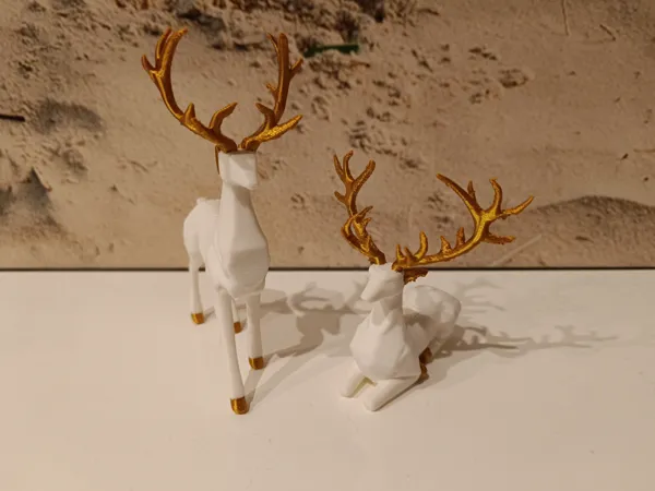 https://makerworld.bblmw.com/makerworld/model/USc25a5bb94ebb5d/design/2025-01-17_1d2358dfb703a.jpg