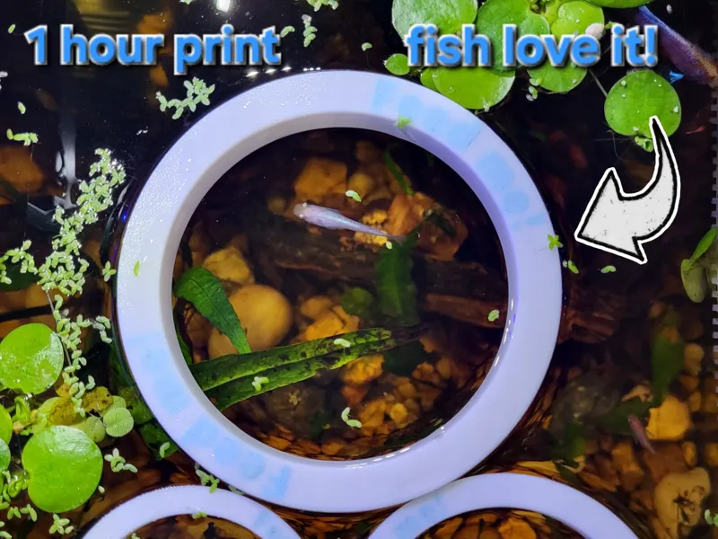 Floating Fish Feeder Rings - Scalable - 1hr Print!