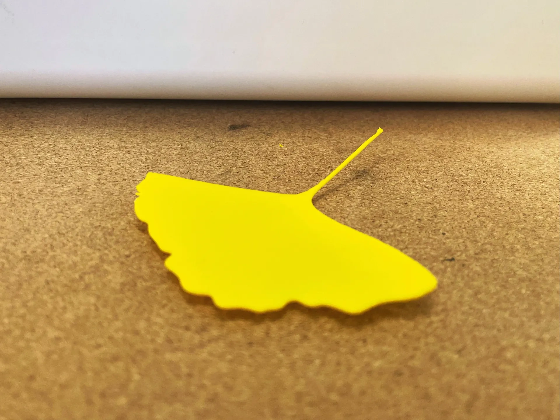 Ginkgo yaprakları
