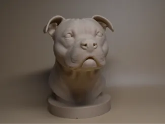 Staffordshire bull terrier  bust