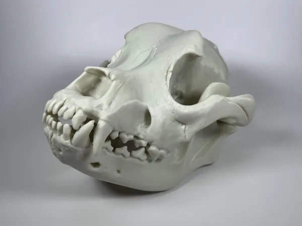 https://makerworld.bblmw.com/makerworld/model/USc266300cc0cc9c/design/2025-03-30_d899e138147d.jpg