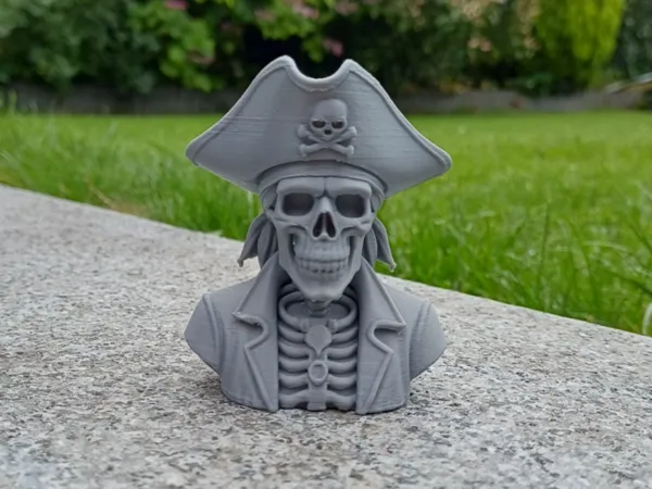 https://makerworld.bblmw.com/makerworld/model/USc26a5d6404939a/design/2025-07-28_1a5961fde3da7.jpg