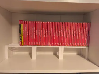 Nintendo Switch games riser for IKEA Billy/Gersby