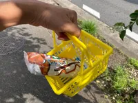 Panier de courses miniature — photo 2