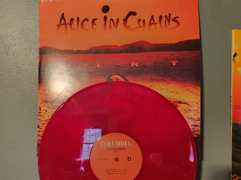 Vinyl Record Wall Mount