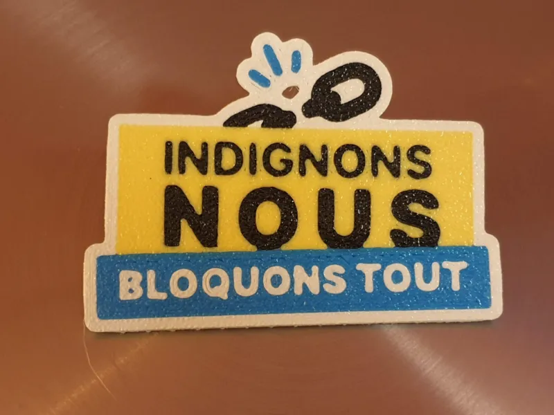 Indignons nous broche
