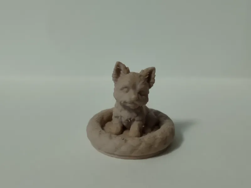 Yorkie collectable checker