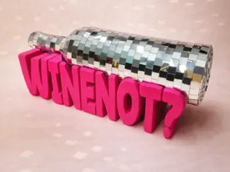 WINENOT? – Minimalist Wine Bottle Holder