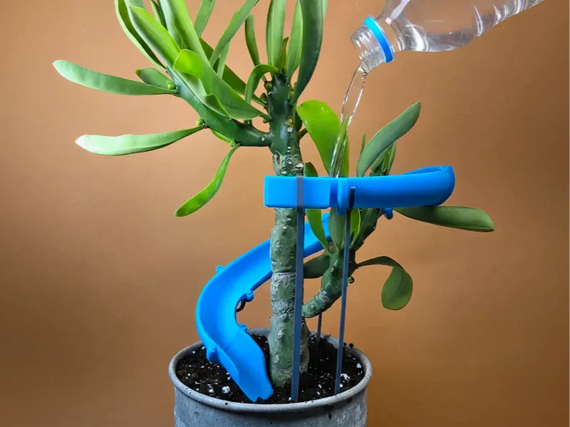 RootSplash - Waterslide for your houseplants