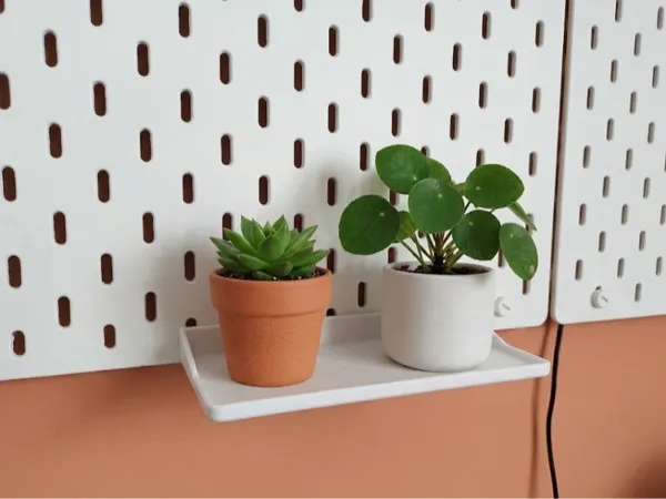 https://makerworld.bblmw.com/makerworld/model/USc290d62a13b5ab/design/5e8676c95654c2f3.png