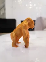 0.16mm layer, 2 walls, 5% infill